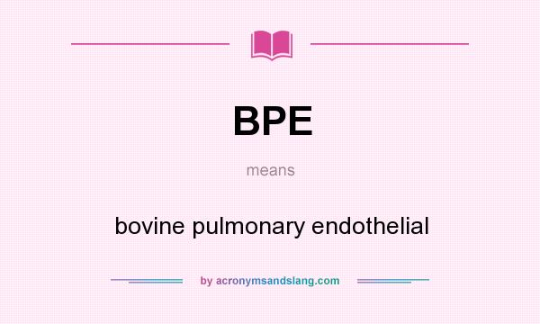 What does BPE mean? It stands for bovine pulmonary endothelial
