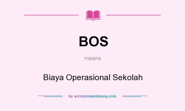 What does BOS mean? It stands for Biaya Operasional Sekolah