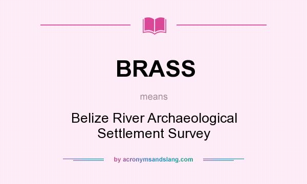 What does BRASS mean? It stands for Belize River Archaeological Settlement Survey