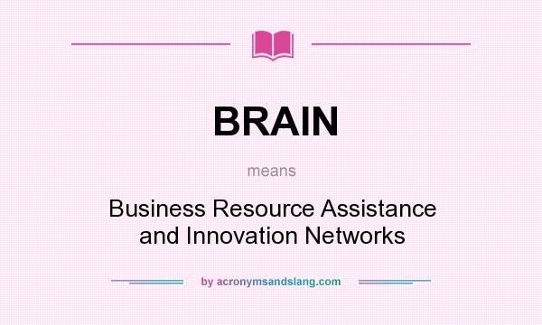 What does BRAIN mean? It stands for Business Resource Assistance and Innovation Networks