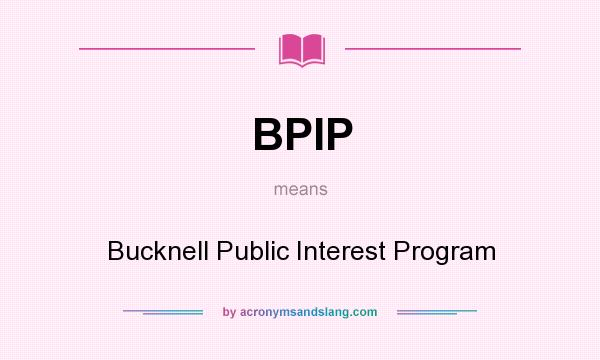 What does BPIP mean? It stands for Bucknell Public Interest Program