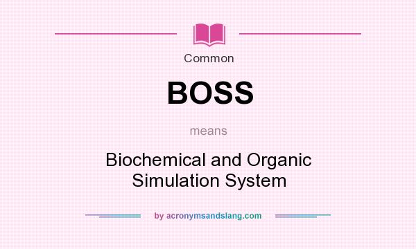 What does BOSS mean? It stands for Biochemical and Organic Simulation System