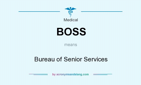 What does BOSS mean? It stands for Bureau of Senior Services