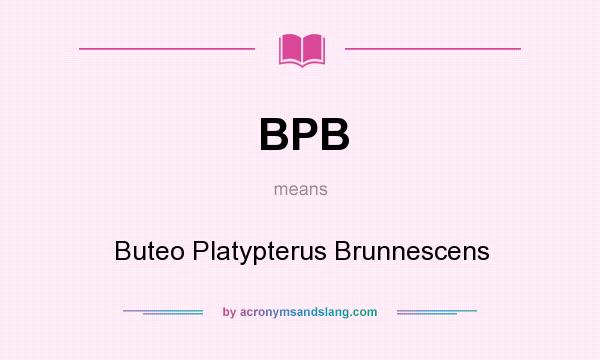 What does BPB mean? It stands for Buteo Platypterus Brunnescens