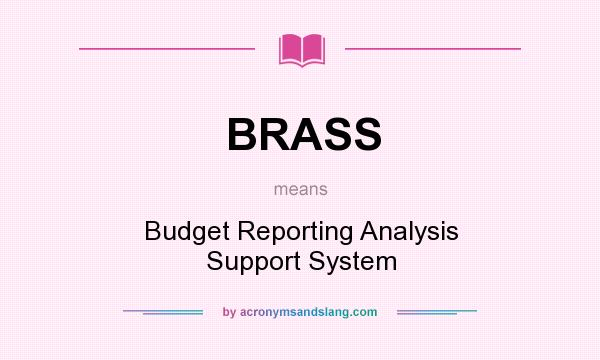 What does BRASS mean? It stands for Budget Reporting Analysis Support System
