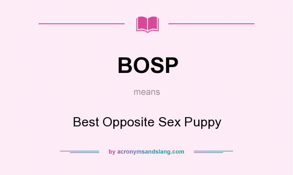 What does BOSP mean? It stands for Best Opposite Sex Puppy