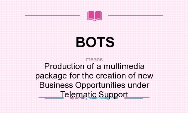 What does BOTS mean? It stands for Production of a multimedia package for the creation of new Business Opportunities under Telematic Support