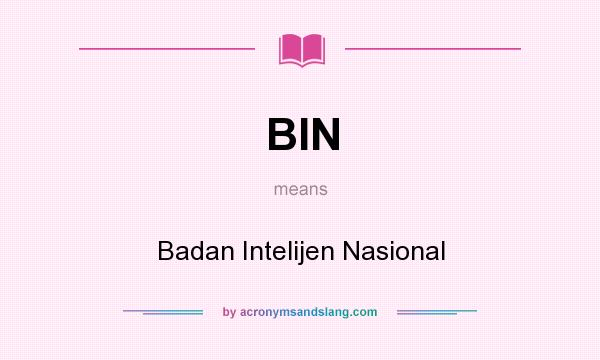 What does BIN mean? It stands for Badan Intelijen Nasional