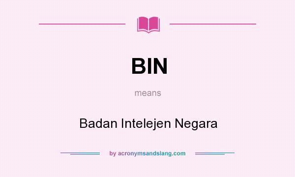 What does BIN mean? It stands for Badan Intelejen Negara