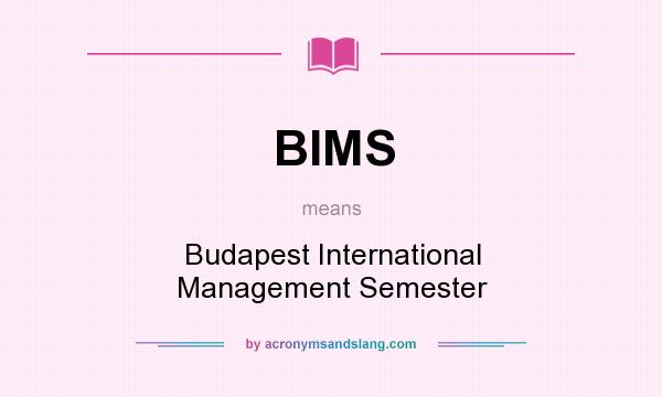 What does BIMS mean? It stands for Budapest International Management Semester