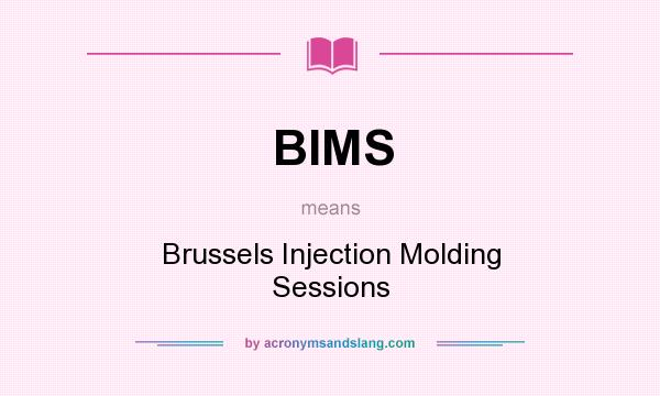 What does BIMS mean? It stands for Brussels Injection Molding Sessions
