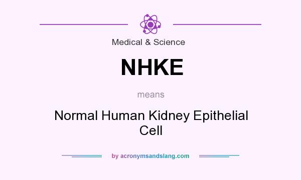 What does NHKE mean? It stands for Normal Human Kidney Epithelial Cell
