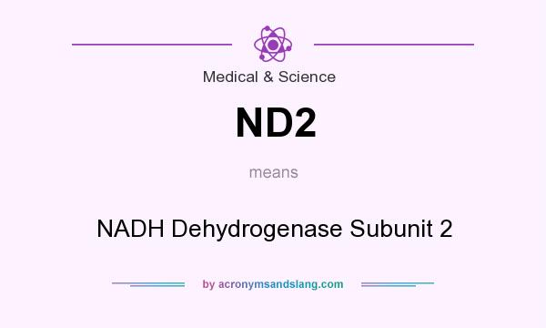 What does ND2 mean? It stands for NADH Dehydrogenase Subunit 2