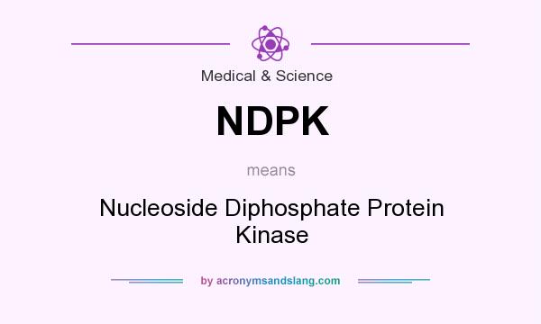 What does NDPK mean? It stands for Nucleoside Diphosphate Protein Kinase