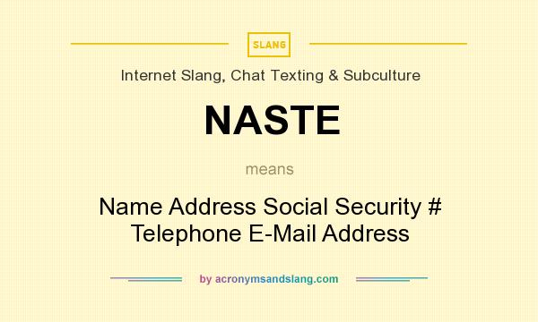 What does NASTE mean? It stands for Name Address Social Security # Telephone E-Mail Address
