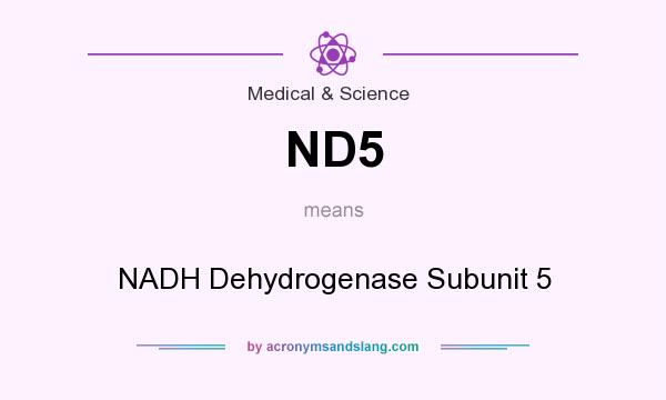 What does ND5 mean? It stands for NADH Dehydrogenase Subunit 5