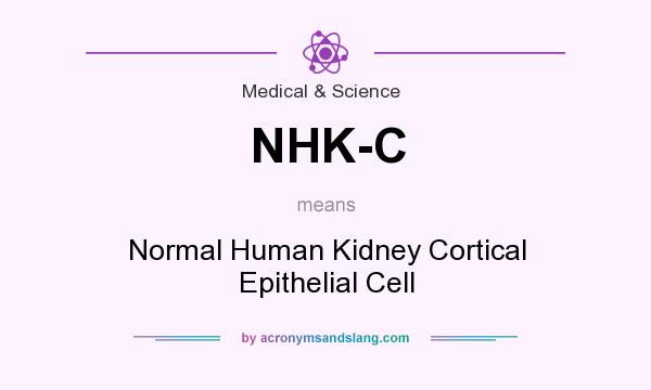 What does NHK-C mean? It stands for Normal Human Kidney Cortical Epithelial Cell