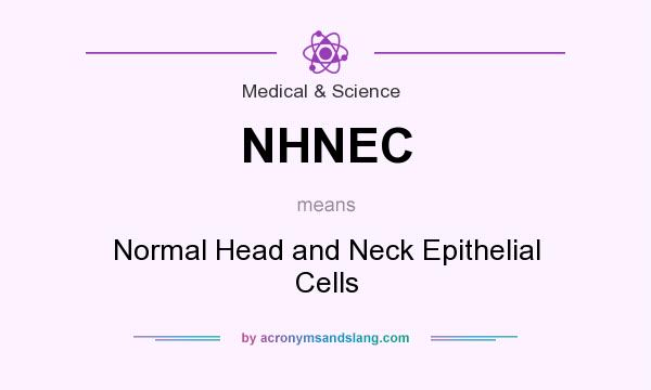 What does NHNEC mean? It stands for Normal Head and Neck Epithelial Cells