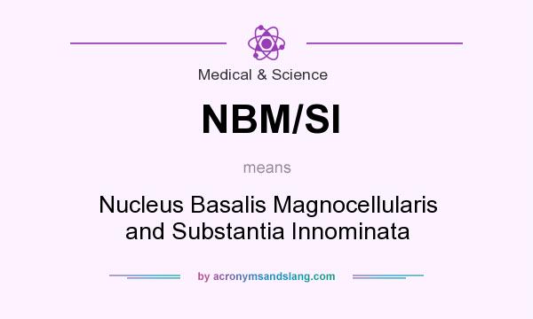 What does NBM/SI mean? It stands for Nucleus Basalis Magnocellularis and Substantia Innominata
