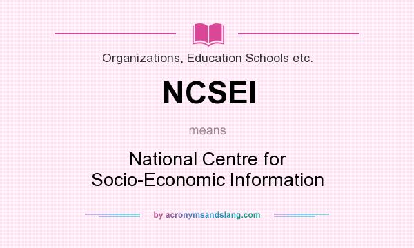 What does NCSEI mean? It stands for National Centre for Socio-Economic Information
