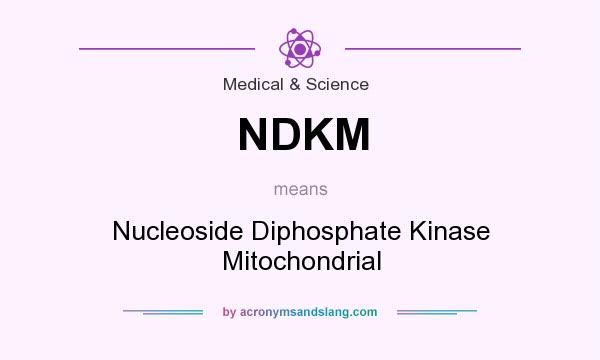 What does NDKM mean? It stands for Nucleoside Diphosphate Kinase Mitochondrial