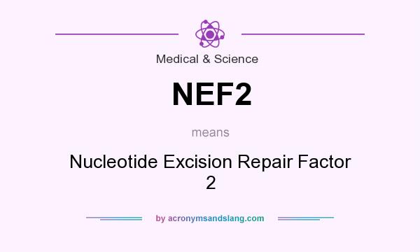 What does NEF2 mean? It stands for Nucleotide Excision Repair Factor 2