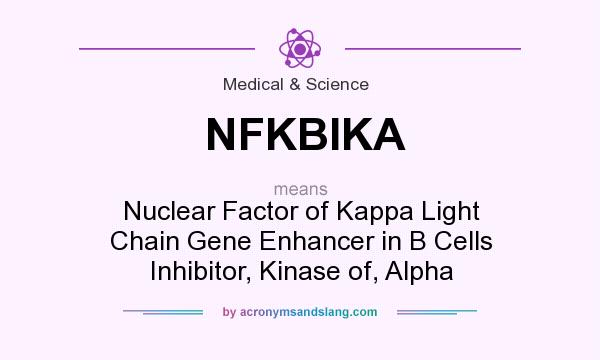 What does NFKBIKA mean? It stands for Nuclear Factor of Kappa Light Chain Gene Enhancer in B Cells Inhibitor, Kinase of, Alpha