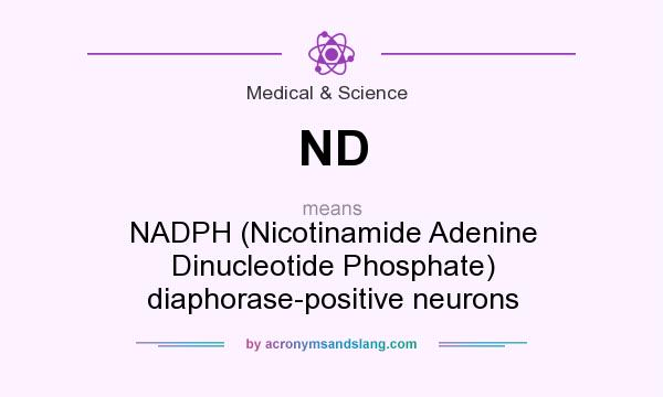 What does ND mean? It stands for NADPH (Nicotinamide Adenine Dinucleotide Phosphate) diaphorase-positive neurons