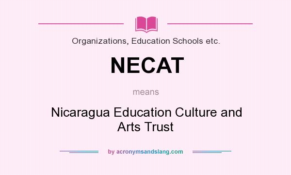 What does NECAT mean? It stands for Nicaragua Education Culture and Arts Trust