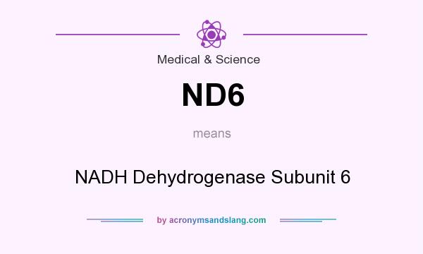 What does ND6 mean? It stands for NADH Dehydrogenase Subunit 6