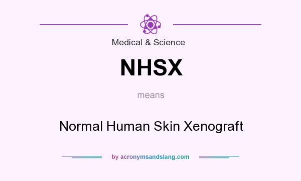 What does NHSX mean? It stands for Normal Human Skin Xenograft