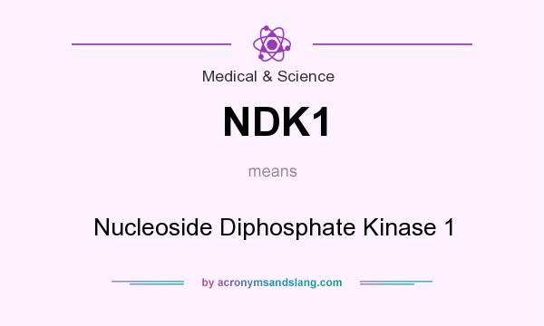 What does NDK1 mean? It stands for Nucleoside Diphosphate Kinase 1