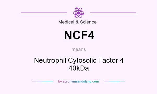 What does NCF4 mean? It stands for Neutrophil Cytosolic Factor 4 40kDa