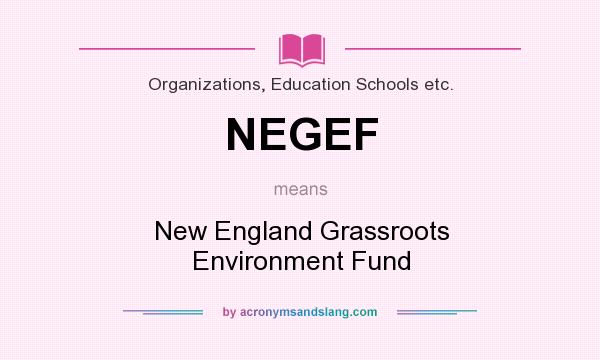 What does NEGEF mean? It stands for New England Grassroots Environment Fund