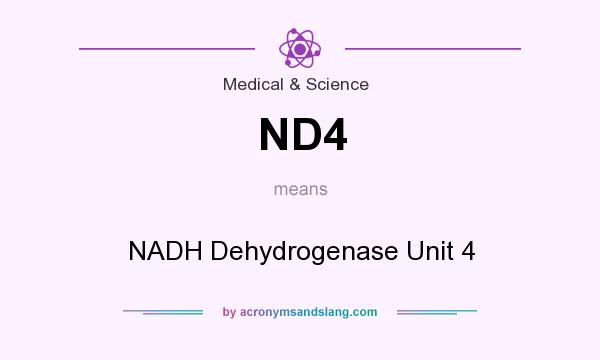 What does ND4 mean? It stands for NADH Dehydrogenase Unit 4