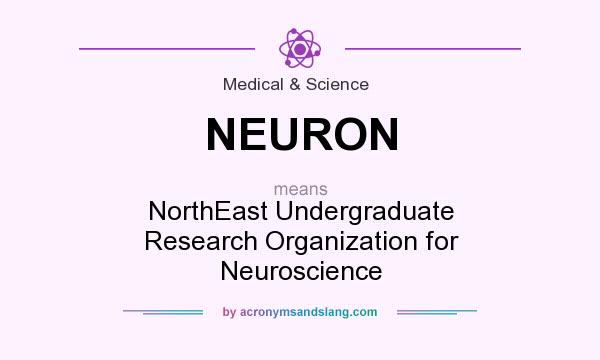 What does NEURON mean? It stands for NorthEast Undergraduate Research Organization for Neuroscience