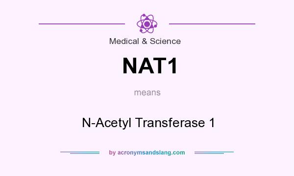 What does NAT1 mean? It stands for N-Acetyl Transferase 1