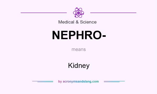 What does NEPHRO- mean? It stands for Kidney