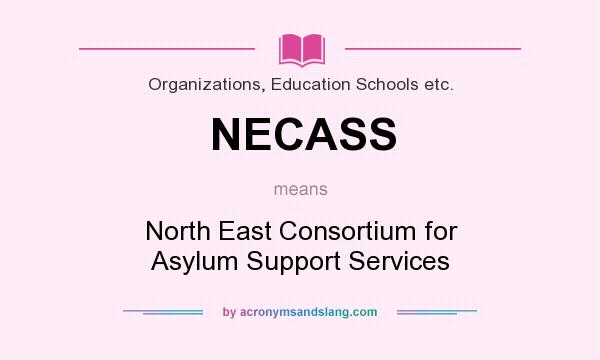 What does NECASS mean? It stands for North East Consortium for Asylum Support Services
