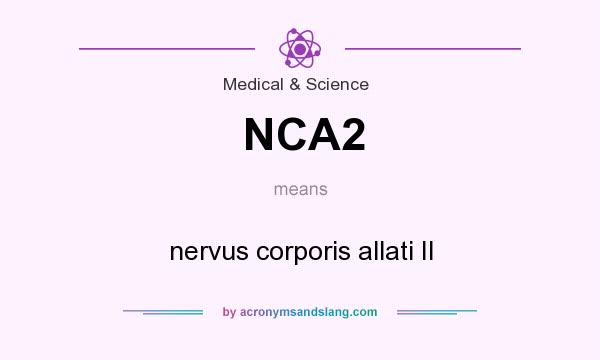 What does NCA2 mean? It stands for nervus corporis allati II