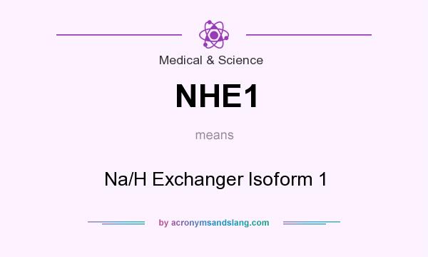 What does NHE1 mean? It stands for Na/H Exchanger Isoform 1