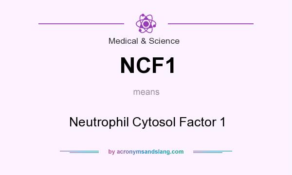 What does NCF1 mean? It stands for Neutrophil Cytosol Factor 1