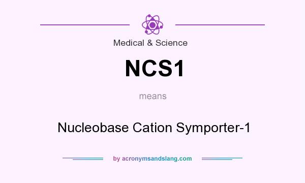 What does NCS1 mean? It stands for Nucleobase Cation Symporter-1