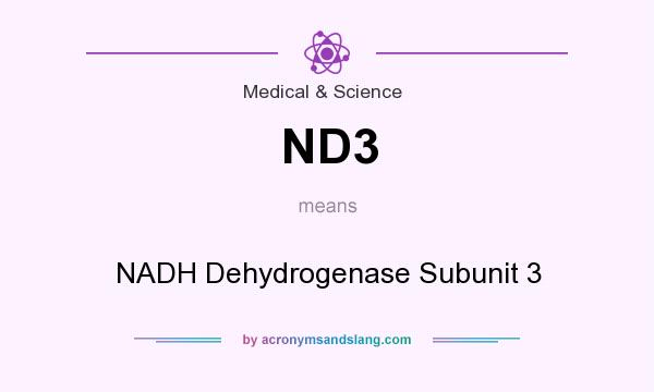 What does ND3 mean? It stands for NADH Dehydrogenase Subunit 3