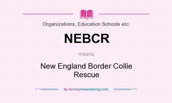 What does NEBCR mean? It stands for New England Border Collie Rescue
