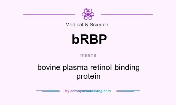 What does bRBP mean? It stands for bovine plasma retinol-binding protein