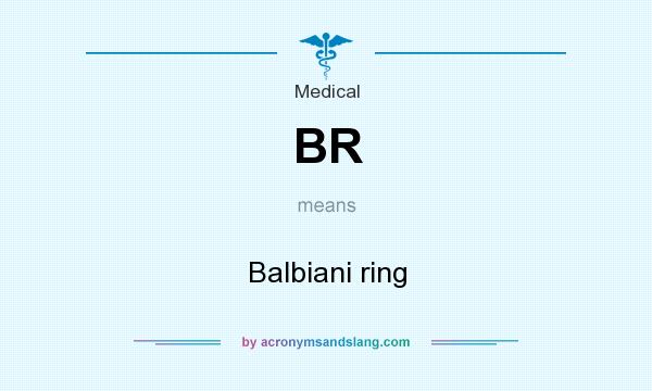 What does BR mean? It stands for Balbiani ring