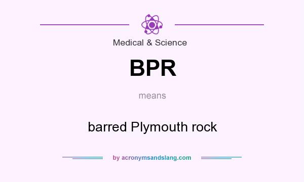 What does BPR mean? It stands for barred Plymouth rock