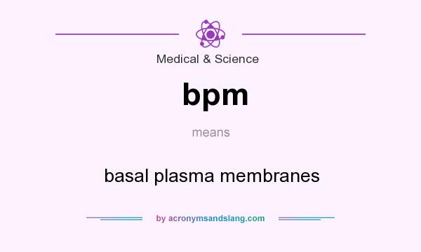 What does bpm mean? It stands for basal plasma membranes