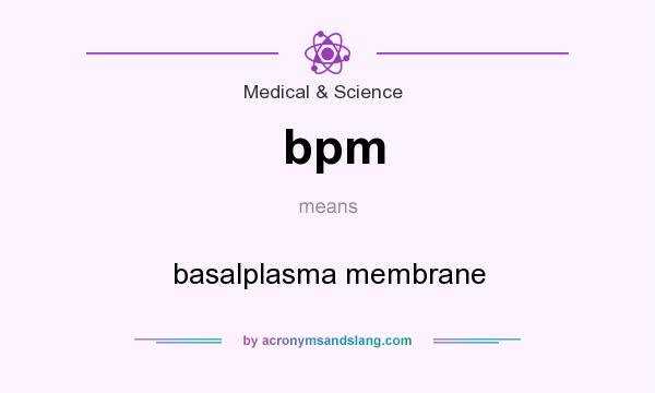 What does bpm mean? It stands for basalplasma membrane